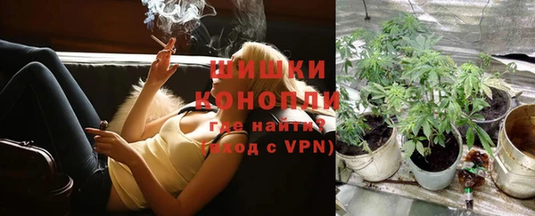 СК Липки