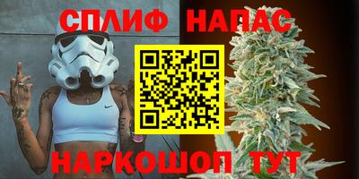 Альфа ПВП Гагарин