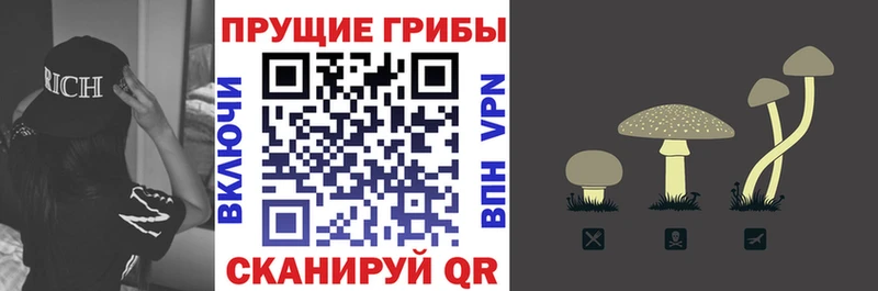 Галлюциногенные грибы мухоморы  Псков 