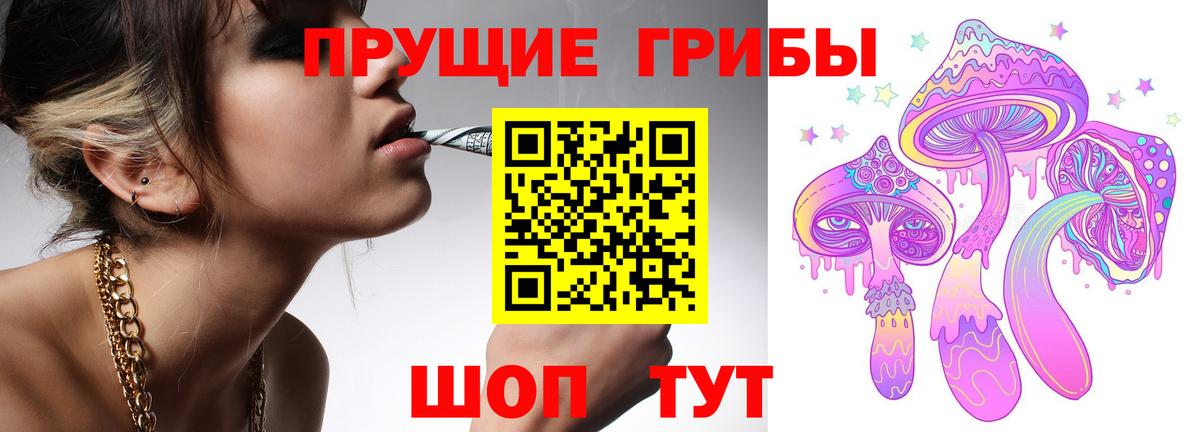 Псилоцибиновые грибы GOLDEN TEACHER Псков